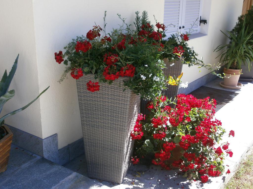 Garni Hattlerhof B&B บรูนิโก ภายนอก รูปภาพ